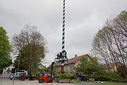 Maibaum des Burschenvereins Obermenzing: montieren der Figuren am 1.5.2014 (©Foto: MartiN Schmitz)